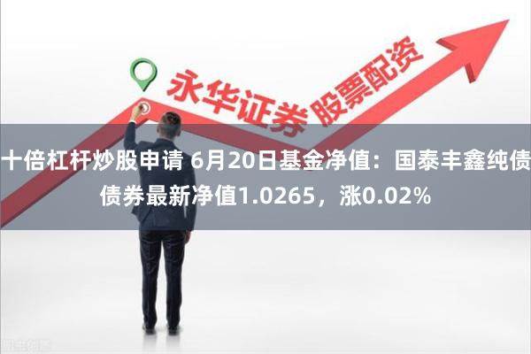 十倍杠杆炒股申请 6月20日基金净值：国泰丰鑫纯债债券最新净值1.0265，涨0.02%