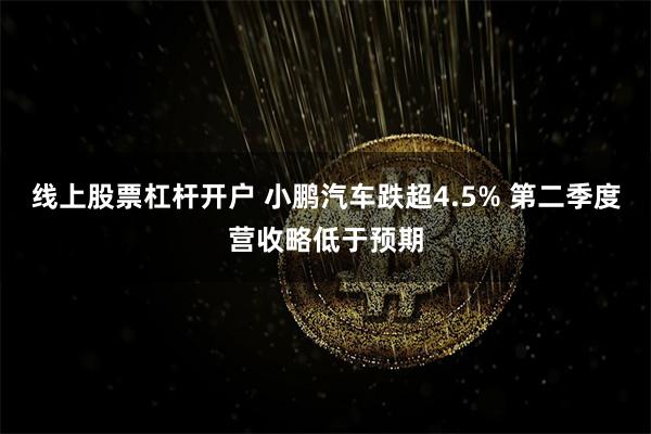 线上股票杠杆开户 小鹏汽车跌超4.5% 第二季度营收略低于预期