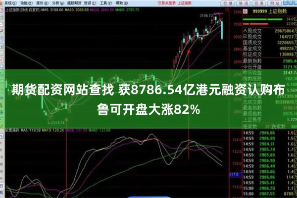 期货配资网站查找 获8786.54亿港元融资认购布鲁可开盘大