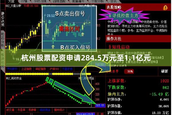 杭州股票配资申请284.5万元至1.1亿元