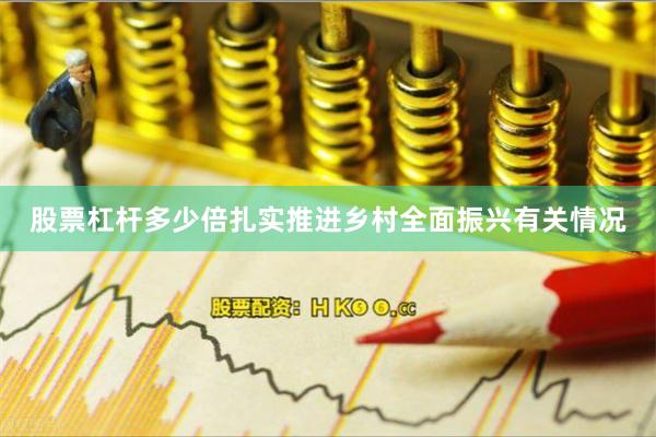 股票杠杆多少倍扎实推进乡村全面振兴有关情况