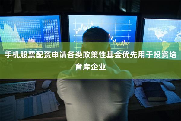 手机股票配资申请各类政策性基金优先用于投资培育库企业