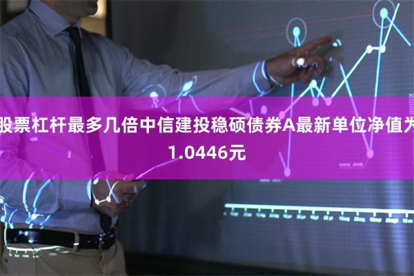 股票杠杆最多几倍中信建投稳硕债券A最新单位净值为1.0446