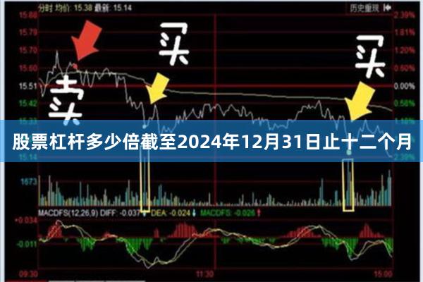 股票杠杆多少倍截至2024年12月31日止十二个月
